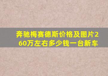 奔驰梅赛德斯价格及图片260万左右多少钱一台新车