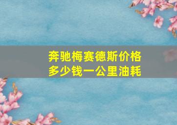 奔驰梅赛德斯价格多少钱一公里油耗