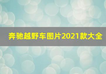 奔驰越野车图片2021款大全