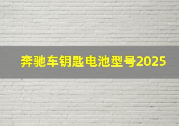 奔驰车钥匙电池型号2025