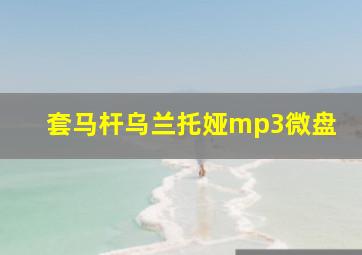 套马杆乌兰托娅mp3微盘