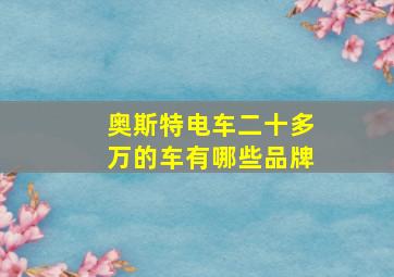 奥斯特电车二十多万的车有哪些品牌