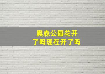 奥森公园花开了吗现在开了吗