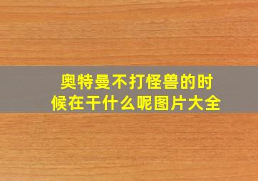 奥特曼不打怪兽的时候在干什么呢图片大全