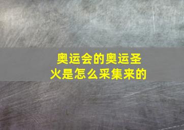 奥运会的奥运圣火是怎么采集来的