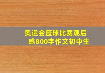 奥运会篮球比赛观后感800字作文初中生