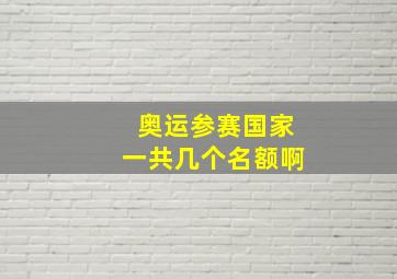 奥运参赛国家一共几个名额啊