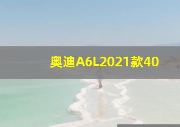 奥迪A6L2021款40