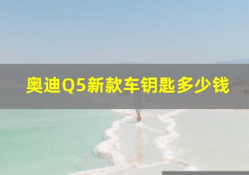 奥迪Q5新款车钥匙多少钱