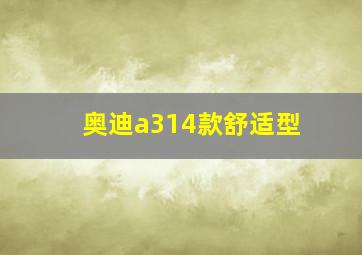 奥迪a314款舒适型