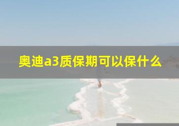 奥迪a3质保期可以保什么