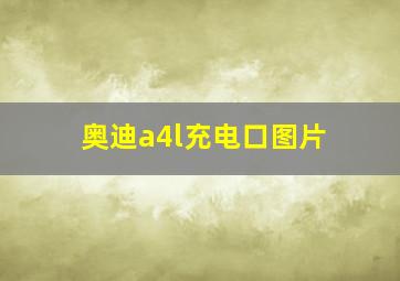 奥迪a4l充电口图片