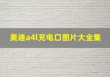 奥迪a4l充电口图片大全集