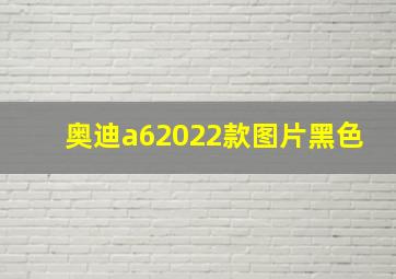 奥迪a62022款图片黑色