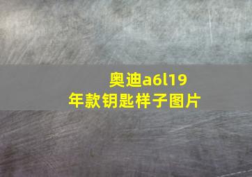 奥迪a6l19年款钥匙样子图片