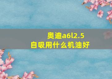 奥迪a6l2.5自吸用什么机油好