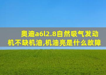 奥迪a6l2.8自然吸气发动机不缺机油,机油亮是什么故障