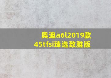 奥迪a6l2019款45tfsi臻选致雅版