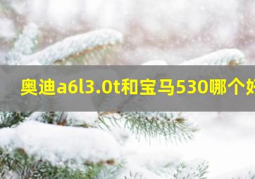 奥迪a6l3.0t和宝马530哪个好