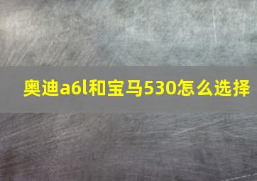 奥迪a6l和宝马530怎么选择