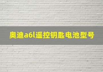 奥迪a6l遥控钥匙电池型号