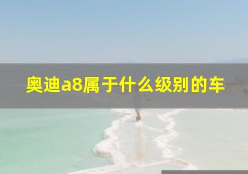 奥迪a8属于什么级别的车