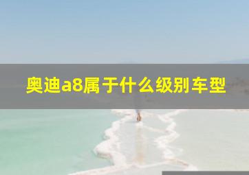 奥迪a8属于什么级别车型