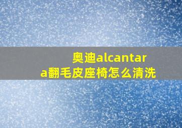 奥迪alcantara翻毛皮座椅怎么清洗