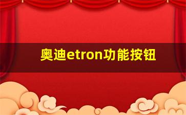 奥迪etron功能按钮