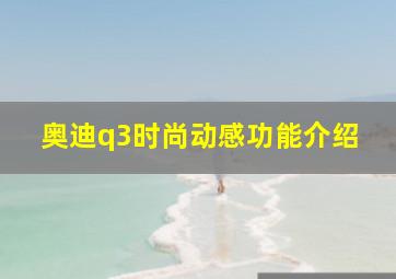 奥迪q3时尚动感功能介绍