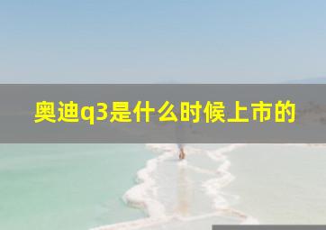 奥迪q3是什么时候上市的