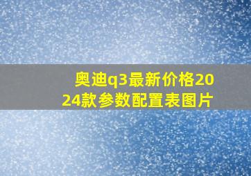 奥迪q3最新价格2024款参数配置表图片