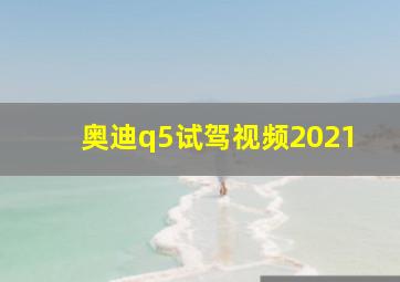 奥迪q5试驾视频2021