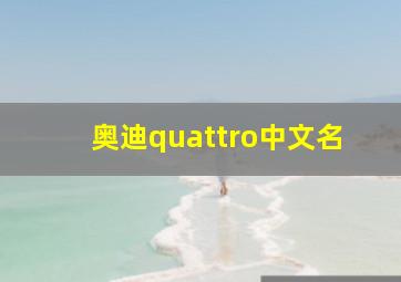 奥迪quattro中文名