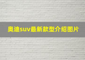 奥迪suv最新款型介绍图片