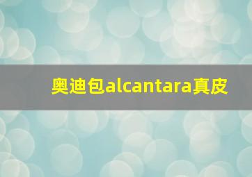 奥迪包alcantara真皮