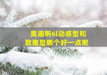 奥迪啊6l动感型和致雅型哪个好一点呢