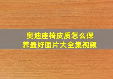 奥迪座椅皮质怎么保养最好图片大全集视频