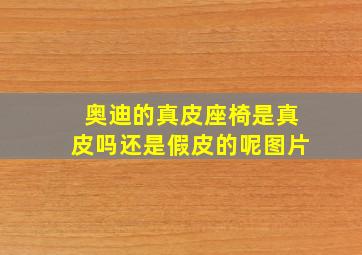 奥迪的真皮座椅是真皮吗还是假皮的呢图片