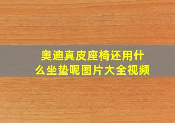 奥迪真皮座椅还用什么坐垫呢图片大全视频