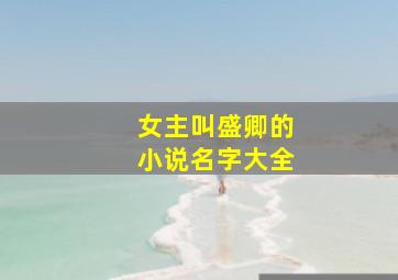 女主叫盛卿的小说名字大全