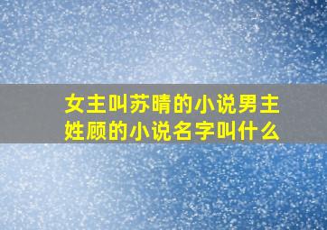 女主叫苏晴的小说男主姓顾的小说名字叫什么