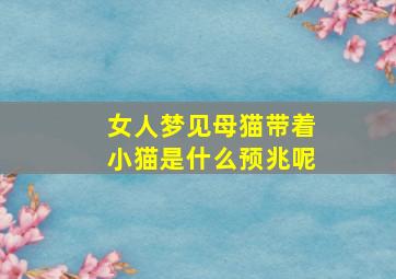 女人梦见母猫带着小猫是什么预兆呢