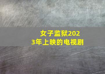 女子监狱2023年上映的电视剧