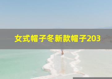 女式帽子冬新款帽子203