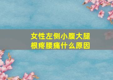 女性左侧小腹大腿根疼腰痛什么原因