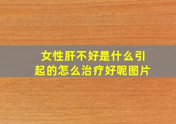 女性肝不好是什么引起的怎么治疗好呢图片