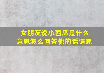 女朋友说小西瓜是什么意思怎么回答他的话语呢