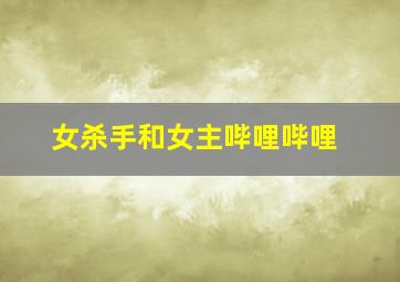 女杀手和女主哔哩哔哩