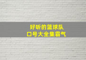 好听的篮球队口号大全集霸气